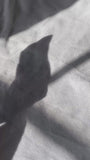 User picture 2